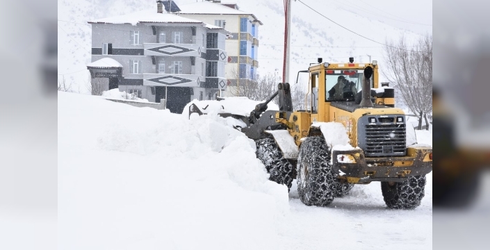 Bitlis'te yollar yeniden açıldı, kar yağışı durdu