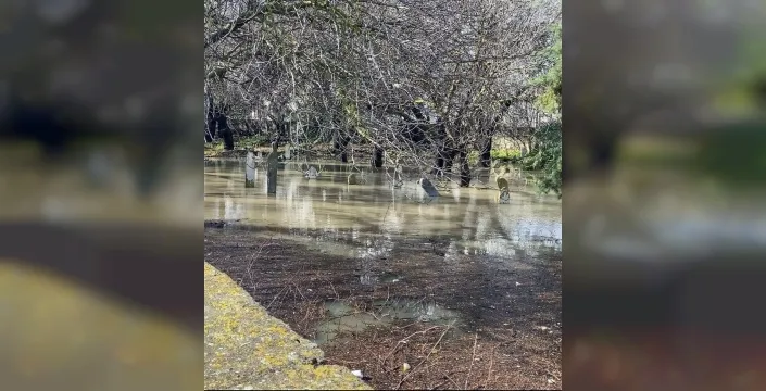 Çeşme'de sağanak sele dönüştü: Alaçatı pazarı ve mezarlık sular altında kaldı