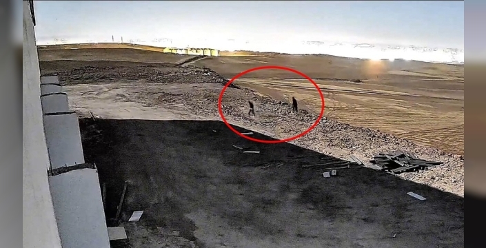 Diyarbakır merkezli operasyonda 5 ilde kablo hırsızlığına geçit verilmedi: 6 kişi tutuklandı