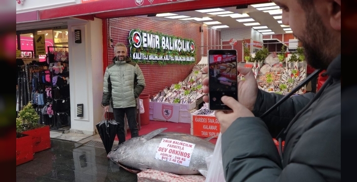 Düzce'den Samsun'a: 346 kiloluk orkinos satışta