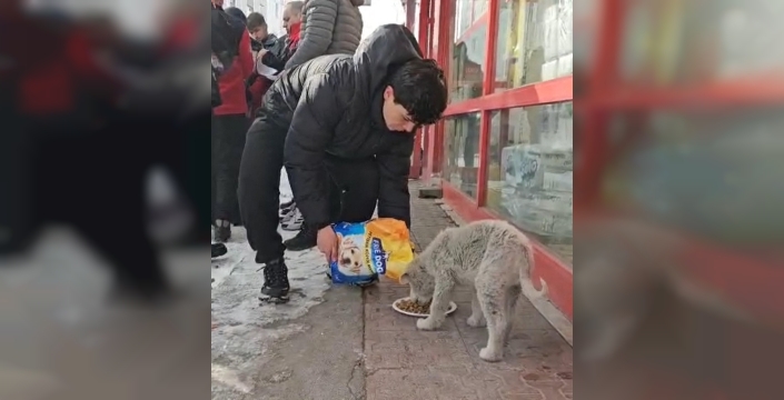 Göle'de dondurucu ayaza rağmen hayvanlar unutulmadı: Üniversite öğrencilerinden örnek davranış