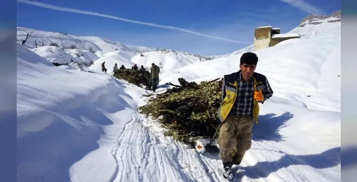 Hakkari'de besiciler karda kızakla ot taşıyor