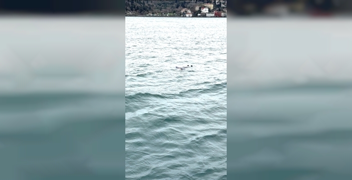 İstanbul Boğazı'nda erkek cesedi bulundu: Kaptan yardım çağrısında bulundu