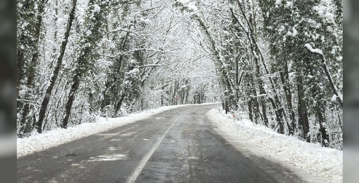Kar yağışı 'Ağaç Tünel Yol'u büyüleyici bir manzaraya dönüştürdü