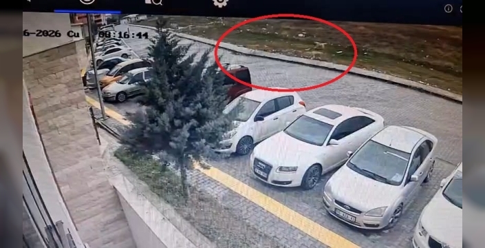 Karnesini almak için çıkan öğrenci, sokak köpeklerinden kaçmak zorunda kaldı