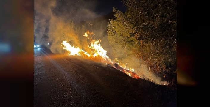 Kozan'da yol kenarındaki yangın ormana sıçradı, itfaiye müdahalesiyle kontrol altına alındı
