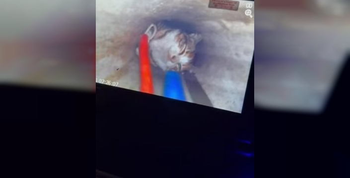 Kuyudan kurtarılan yavru kedi, itfaiyenin 2 saatlik çalışmasıyla hayata döndü