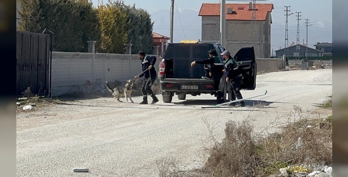 Minik Rana'nın ölümünde şok gelişme: Köpek saldırısı davasında belediye yetkilileri yargı yoluna gidiyor!