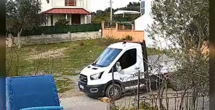 Seferihisar'da kamyonet köpek 'Meks'i ezdi, görüntüler yürek burktu