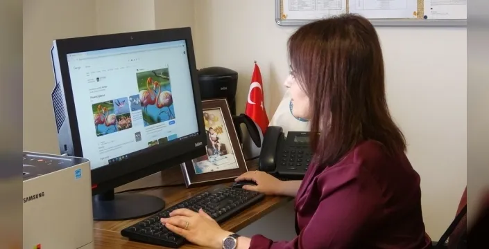 Soğuk havaya inat Van Gölü'nde flamingoların gizemli kışı: Göç ertelendi mi?