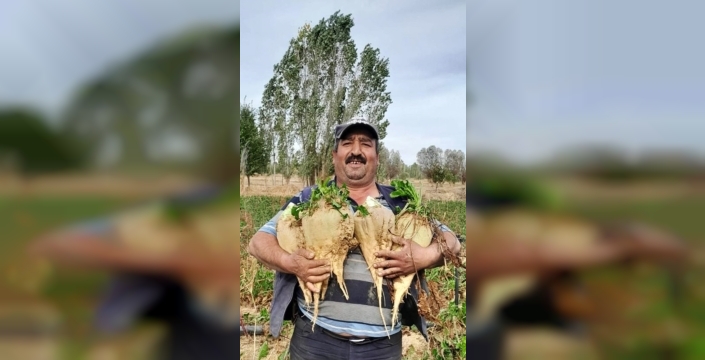 Tartışma kanlı bitti: Yeğeninin eski eşi dayısını böyle vurdu!
