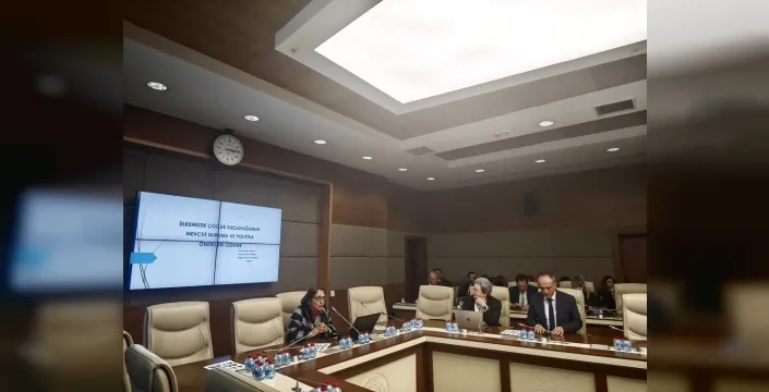 TBMM'de çocukların suça sürüklenmesi alarmı: Uzmanlar 'erken uyarı sistemi' için harekete geçilmesini istiyor