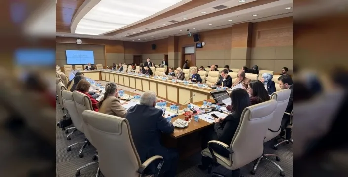 TBMM'de suça sürüklenen çocuklar için araştırma komisyonu toplandı