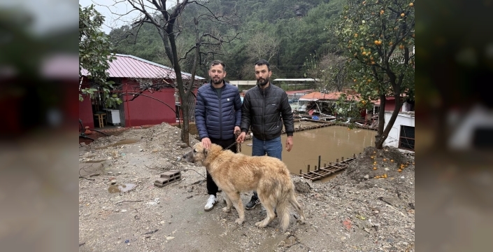 Alanya'da bir köpeği kurtarmak için canını hiçe sayan iki kahraman