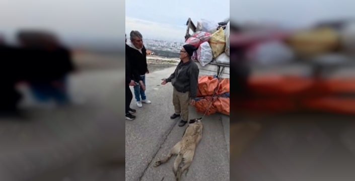 Ankara'da kamyonete bağlanarak sürüklenen köpek çevredekiler tarafından kurtarıldı, sürücü gözaltında