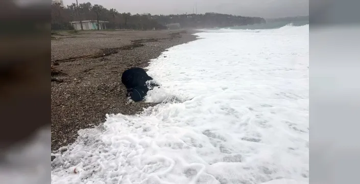 Antalya'da sel felaketi: 7 ilçede okullar tatil, sahilde dev boğa paniği!