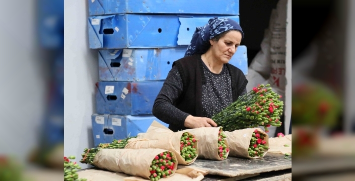 Antalya'dan dünya çiçek bahçesine rekor ihracat: 160 milyon dolar