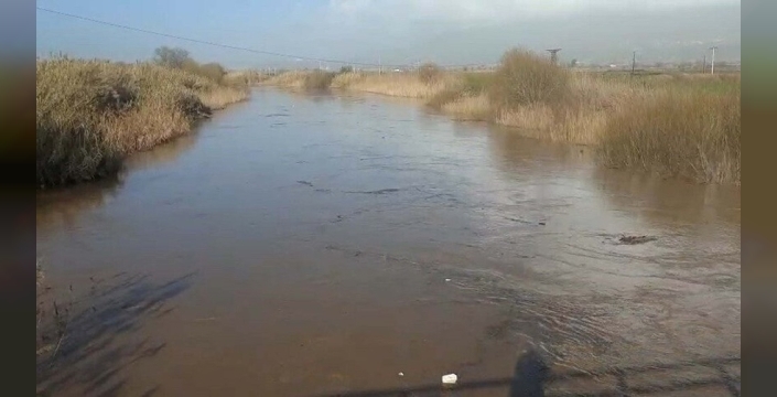 Büyük Menderes Nehri yine taştı; Köşk ilçesinde tarım alanlarını su bastı