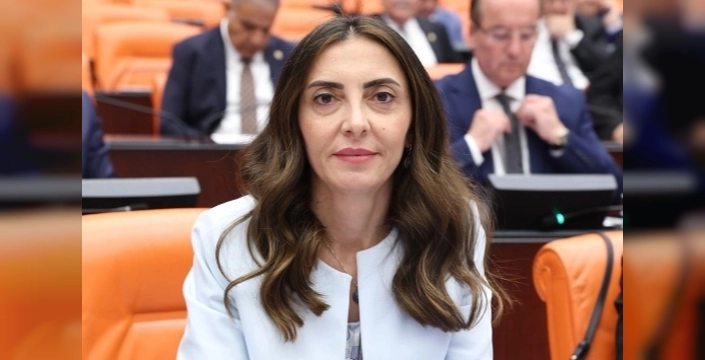 CHP’li Altaca Kayışoğlu'ndan engelliler için alt komisyon talebi
