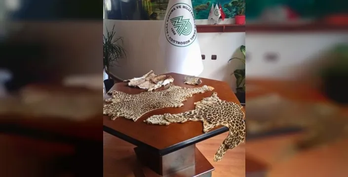 Çukurova'da yasa dışı yaban hayvanı ürünleri bulundu