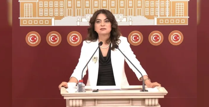 DEM Parti'li Koçyiğit'ten kritik uyarı: Rapor Türkiye için önemli bir eşik olacak