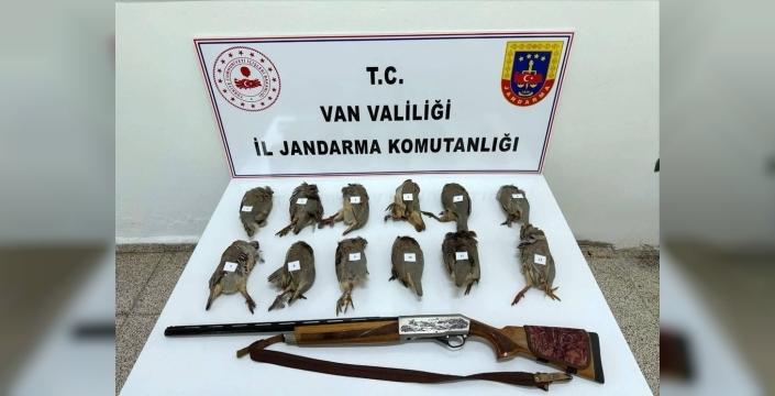 Erciş'te durdurulan araçta ruhsatsız tüfekle vurulmuş 12 kınalı keklik bulundu