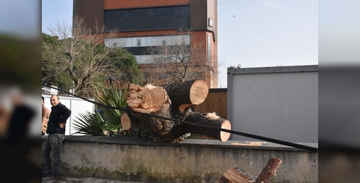 İzmir'de Fırtına Hayatı Felç Etti: Park Halindeki Otomobil Ağacın Altında Kaldı!