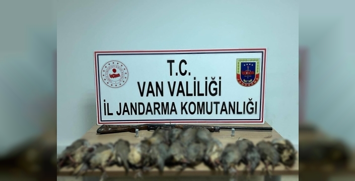 Van'da kaçak avcıya 87 bin TL ceza: Araçta 17 ölü kınalı keklik bulundu