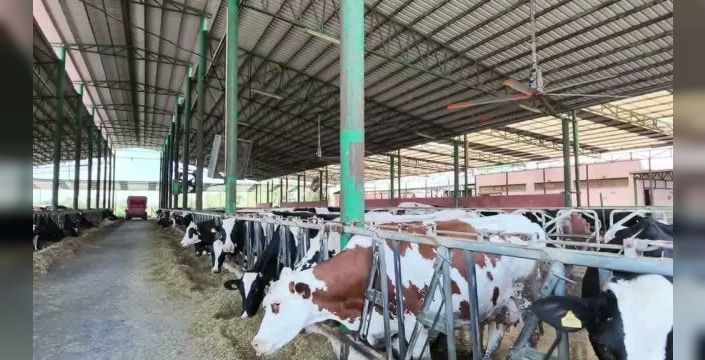 Aydın'da üreticiler artan maliyetlerden şikayet ediyor