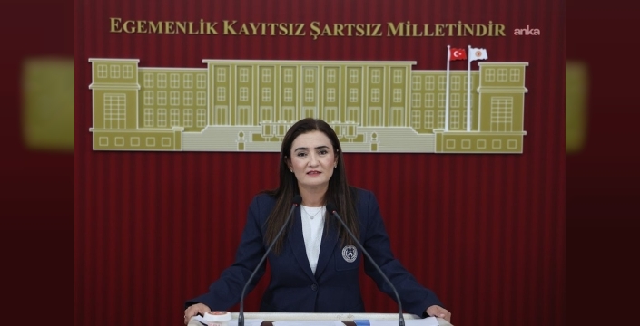 CHP'li Kılıç: Devletin görevi çeteleşme zeminini ortadan kaldırmak