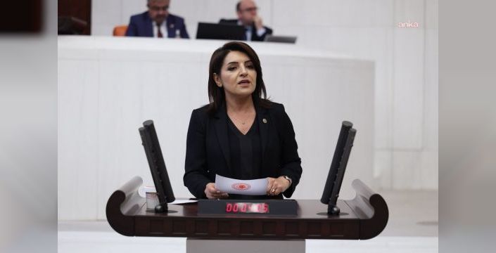 CHP'li Kış, Bakan Şimşek'e fon kriziyle ilgili üç soru önergesi verdi