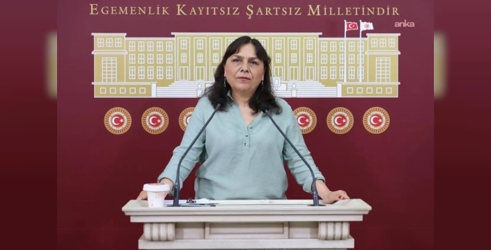 DEM Partili Saki'den "Ailem Güvende" operasyonlarına ilişkin soru önergesi