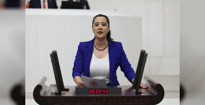 EMEP'li Karaca, mülteci çocuk işçinin ölümü için bakanlığa soru önergesi verdi
