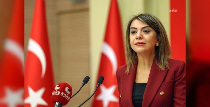 Gamze Taşcıer: Devletin görevi yoksul çocukları eğitime tutmaktır