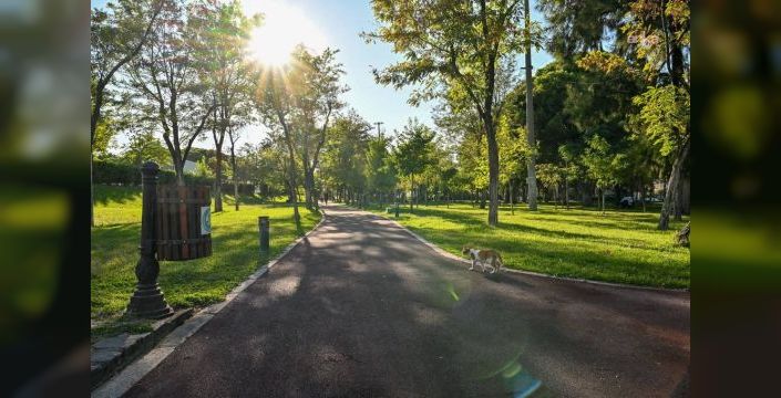 Manisa'da park ve oyun alanlarında zemin yenileme çalışmaları sürüyor