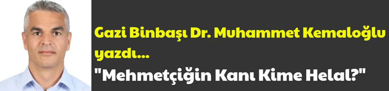 Mehmetçiğin Kanı Kime Helal?