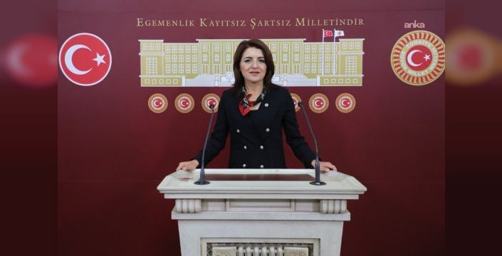 Narenciye ihracatındaki lojistik krizi meclise taşındı