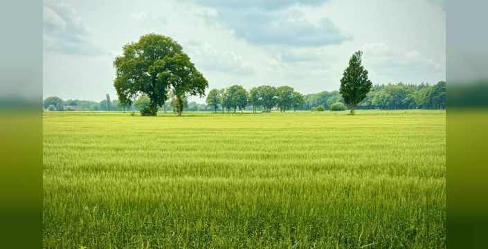 Pluxee Türkiye, çevre yönetim sistemiyle ISO 14001 sertifikası aldı