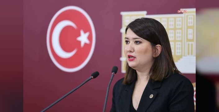 Yeni Partili Gökçen, düzeni eleştirdi: 'Fakirden çalıp zengine veriyorlar