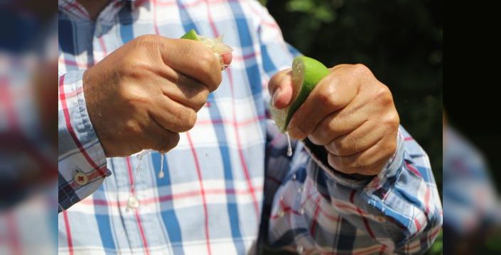 Adana'da yeni limon sezonu, geçen yıldan kalan ürün nedeniyle yavaş başladı