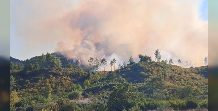Antalya'daki orman yangınlarıyla ilgili 6 kişi gözaltında