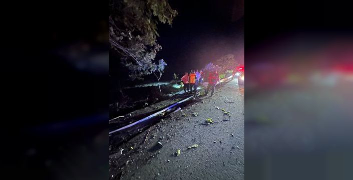 Artvin'de TIR kayalıklara takıldı
