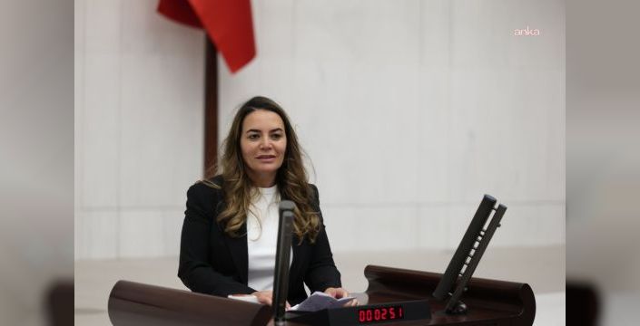 Ayyüce Türkeş Taş, mezarın Türk milletine açık olduğunu vurguladı