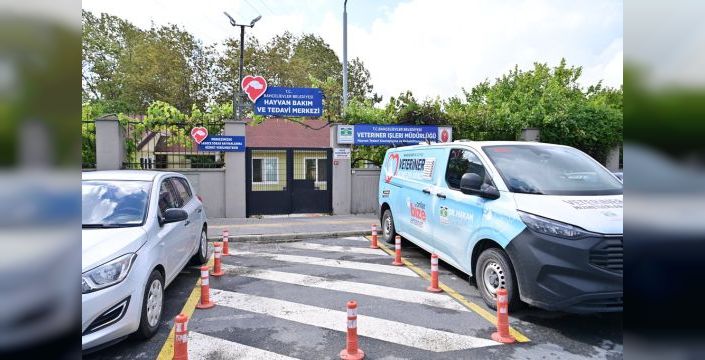 Bahçelievler sokak hayvanlarına 9 ayda 28 binden fazla hizmet