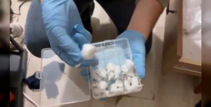 Beyoğlu'nda düzenlenen uyuşturucu operasyonunda 4 kişi yakalandı