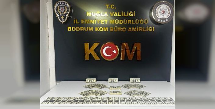 Bodrum'da 46 bin 200 sahte dolar ele geçirildi