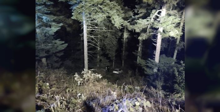 Bolu'da cip uçuruma düştü, 4 kişi yaralandı