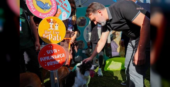 Bursa'da 92 kedi ve köpek yeni sahiplerine kavuştu