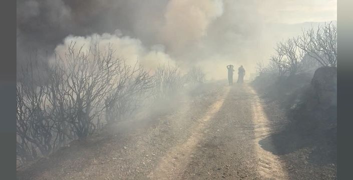 Bursa'da orman yangınına havadan ve karadan müdahale