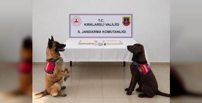 Cezaevine uyuşturucu sokmaya çalışan hükümlü tutuklandı